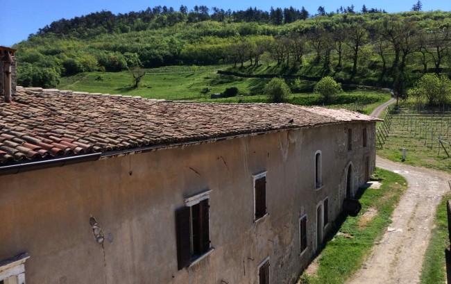 Altro Maso Zandonai a Sant'Ilario 3